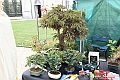 VBS_3478 - Floreal 2023 - Vivere con le piante